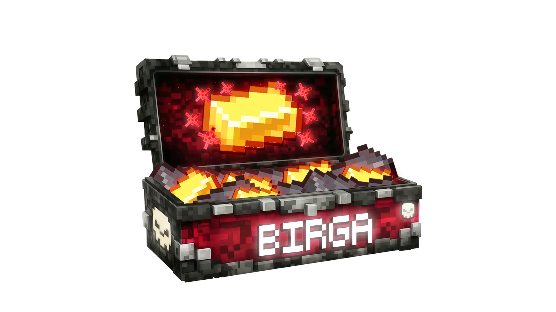 FUN-BIRGA-CASE