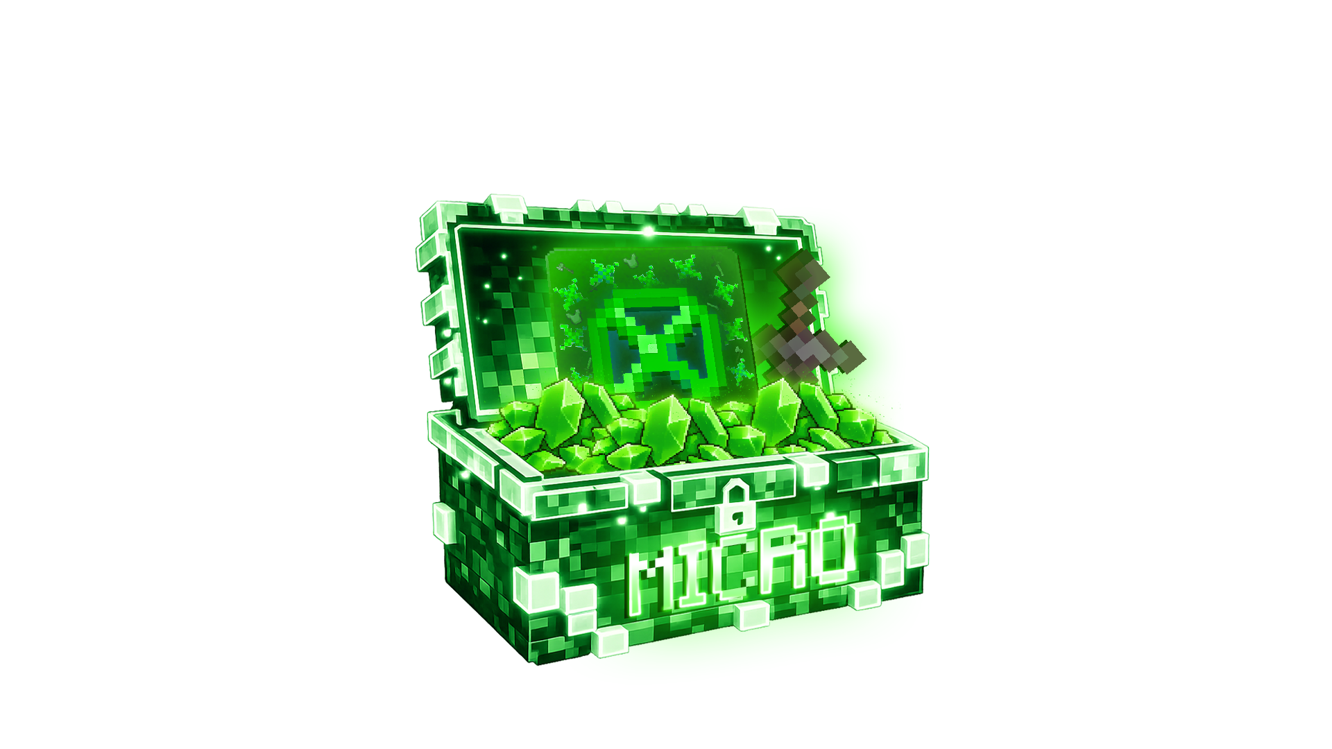 MICRO-CASE